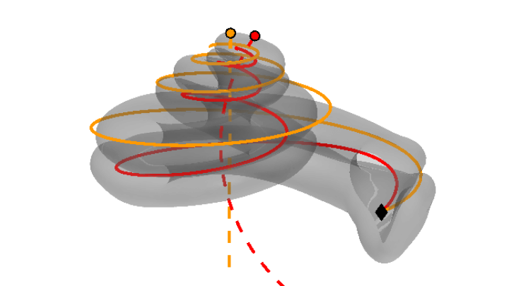cochlea