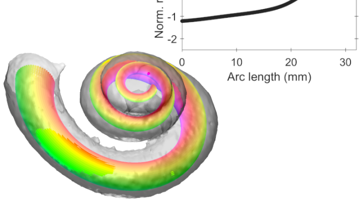 cmodel
